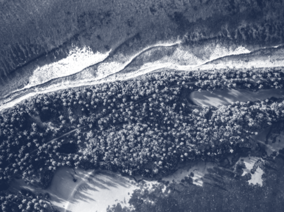 DLA Piper - clients’ own sustainability matters