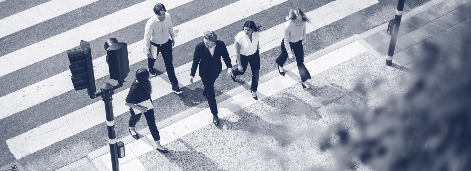 Employment Law